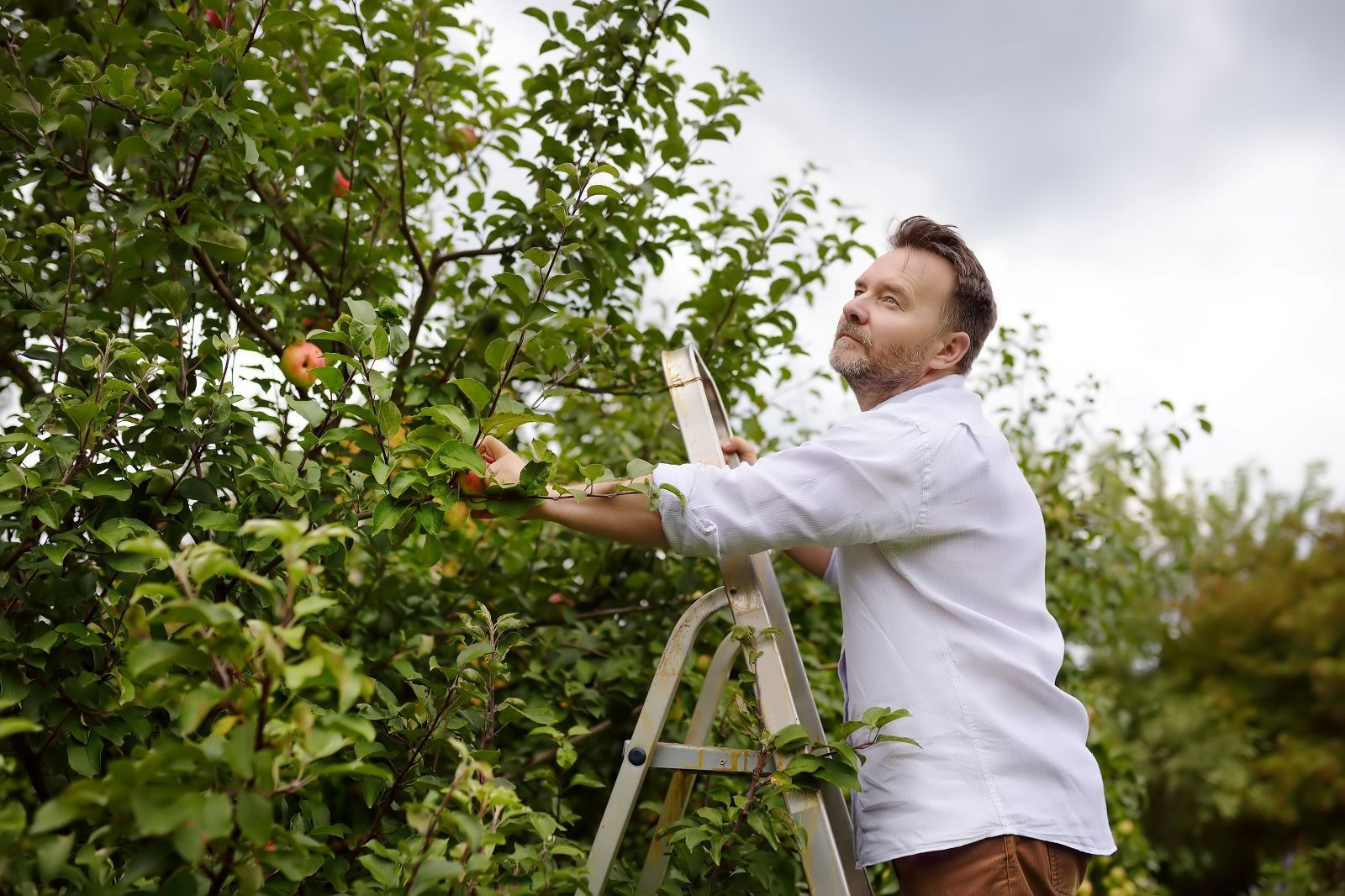 Udendørs gør-det-selv-projekter.jpg